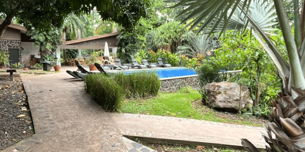 costa-rica–family-friendly-animal-rescue-and-conservation-4