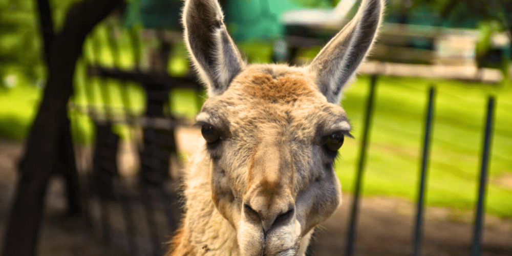 culture-community-service-eco-adventure-for -teenagers-11