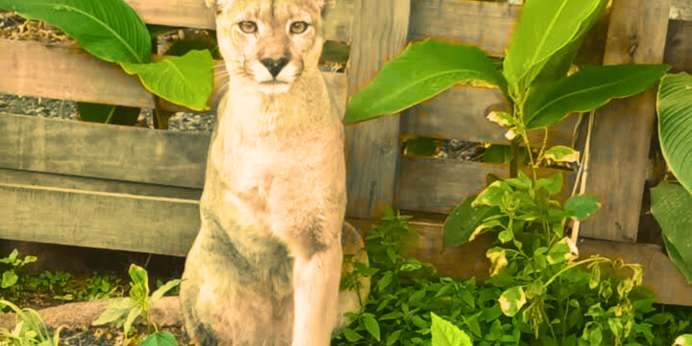 culture-community-service-eco-adventure-for -teenagers-12