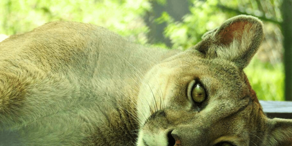 culture-community-service-eco-adventure-for -teenagers-25