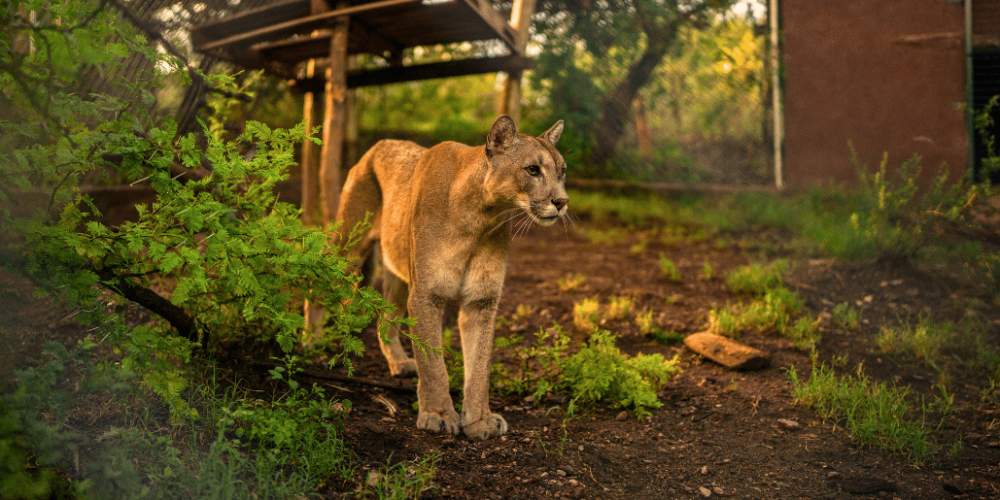 culture-community-service-eco-adventure-for -teenagers-27