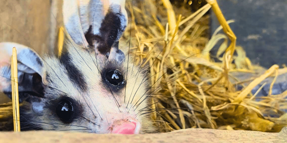 culture-community-service-eco-adventure-for -teenagers-29