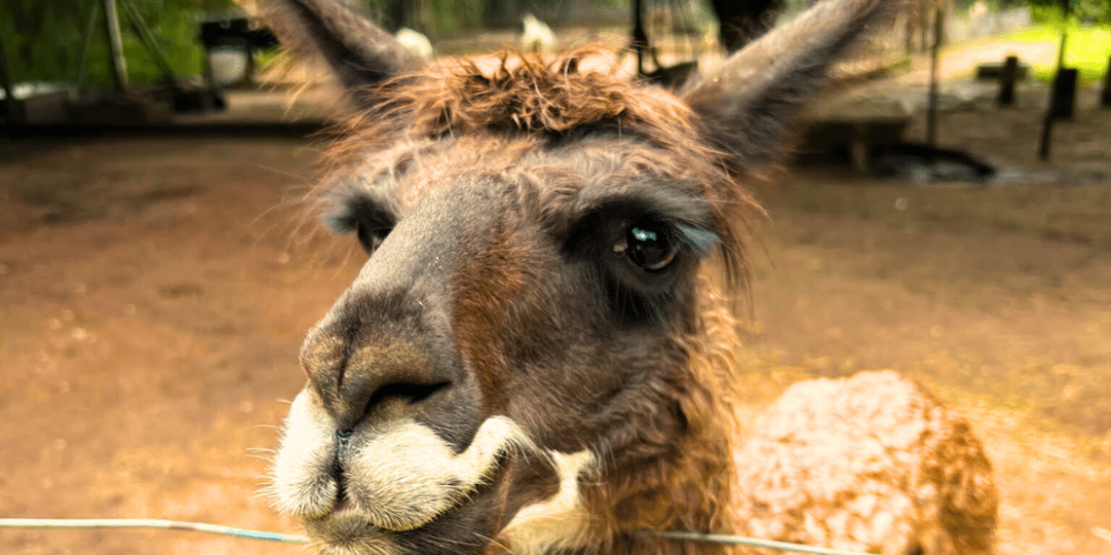 culture-community-service-eco-adventure-for -teenagers-31