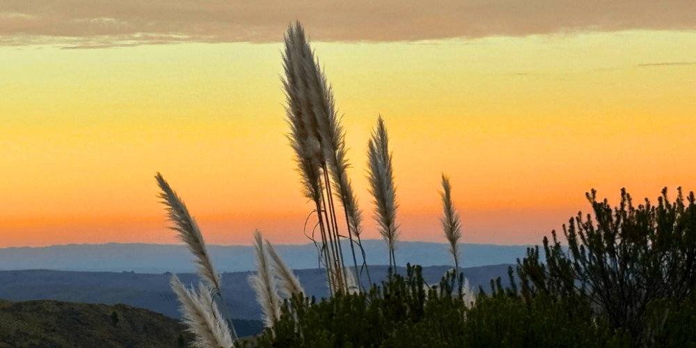 culture-community-service-eco-adventure-for -teenagers-7