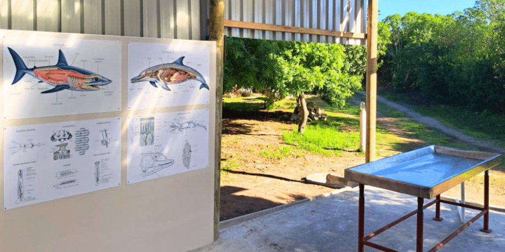 family-friendly-marine-big-5-conservation-1