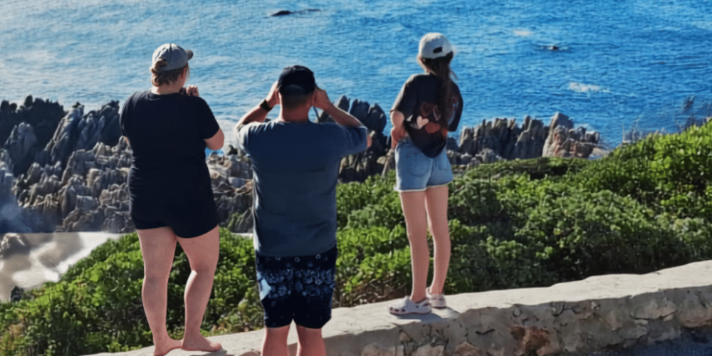 family-friendly-marine-big-5-conservation-12