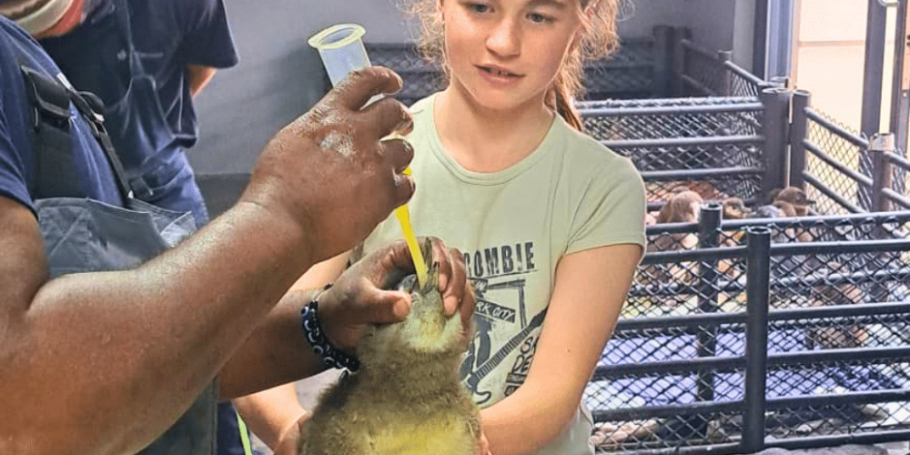family-friendly-marine-big-5-conservation-15