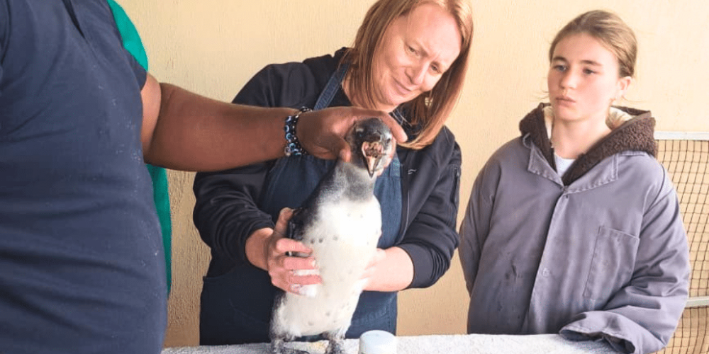 family-friendly-marine-big-5-conservation-5