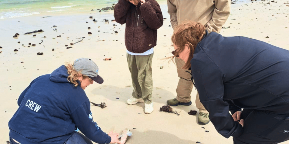 family-friendly-marine-big-5-conservation-7