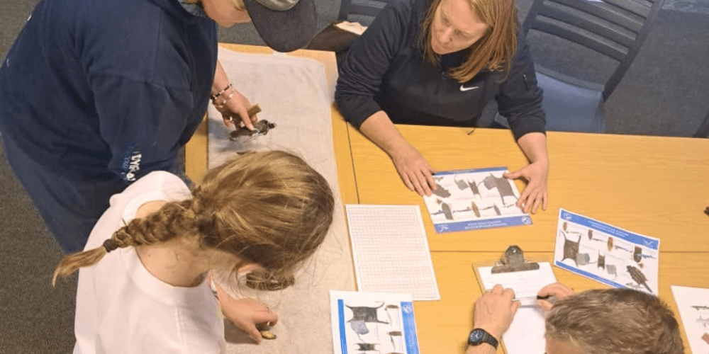 family-friendly-marine-big-5-conservation-9