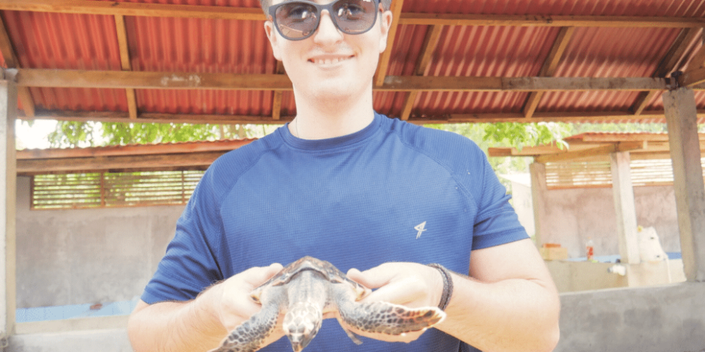 indinesia-lombok-island-sea-turtle-conservation-11
