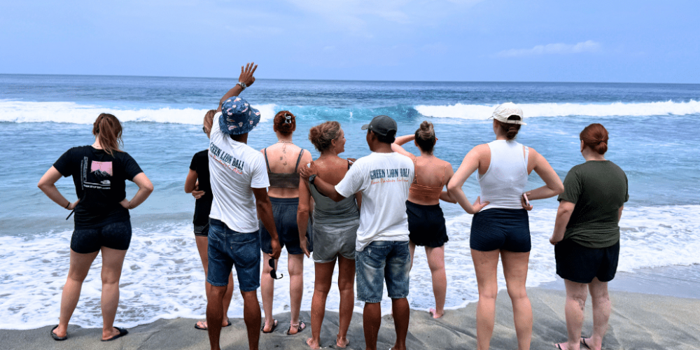 indinesia-lombok-island-sea-turtle-conservation-14