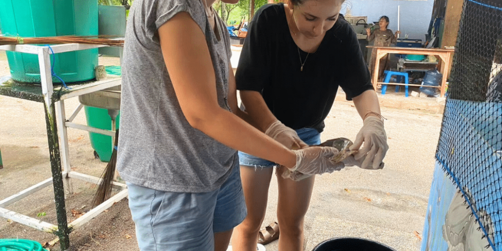indinesia-lombok-island-sea-turtle-conservation-17