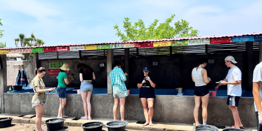 indinesia-lombok-island-sea-turtle-conservation-19