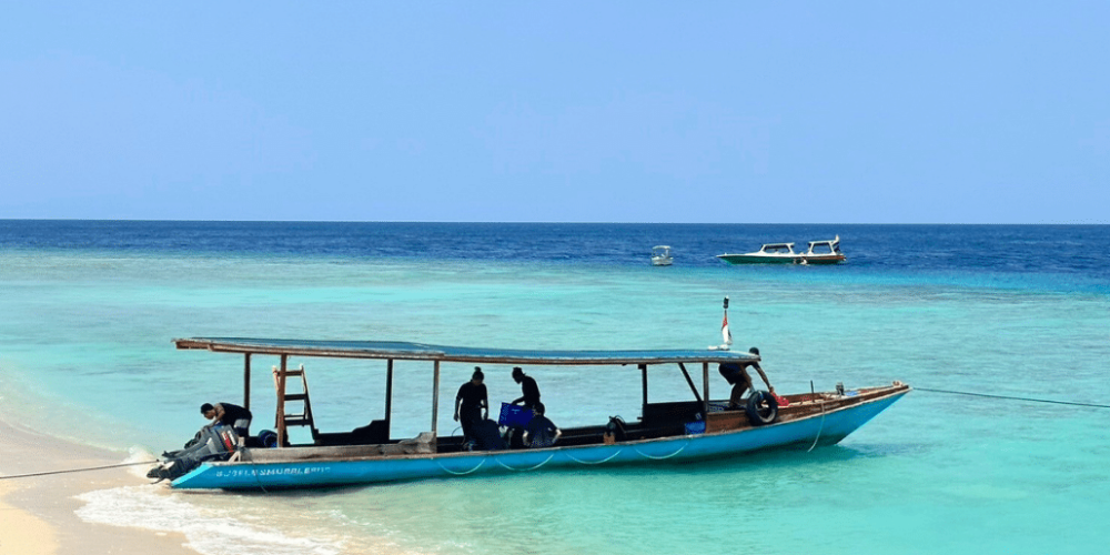indinesia-lombok-island-sea-turtle-conservation-28