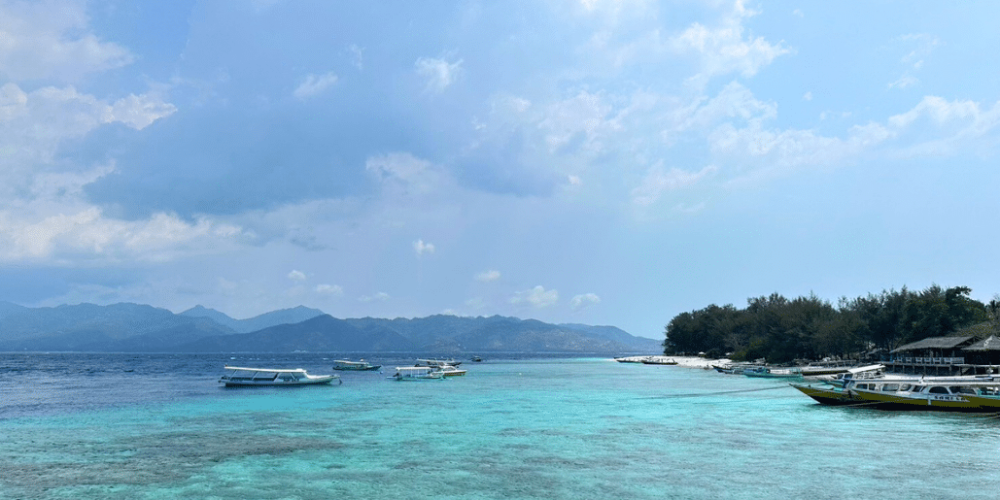 indinesia-lombok-island-sea-turtle-conservation-29