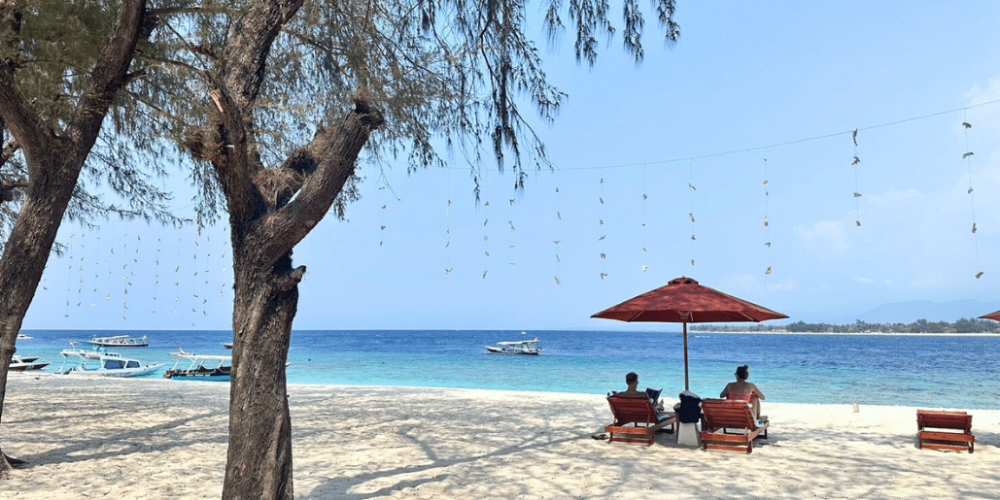 indinesia-lombok-island-sea-turtle-conservation-30