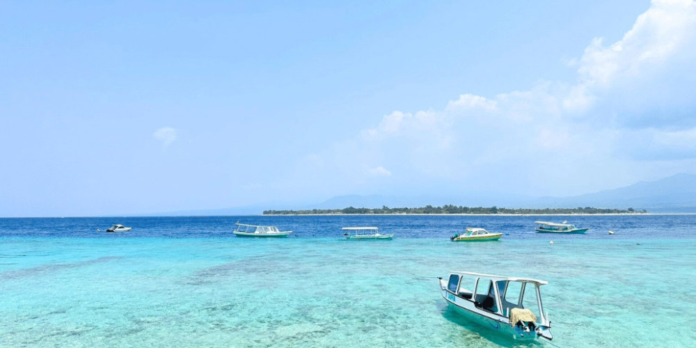 indinesia-lombok-island-sea-turtle-conservation-31