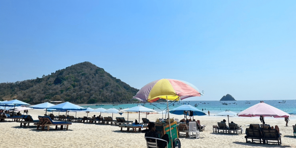 indinesia-lombok-island-sea-turtle-conservation-36
