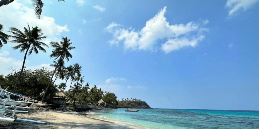 indinesia-lombok-island-sea-turtle-conservation-39