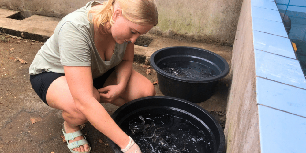 indinesia-lombok-island-sea-turtle-conservation-4