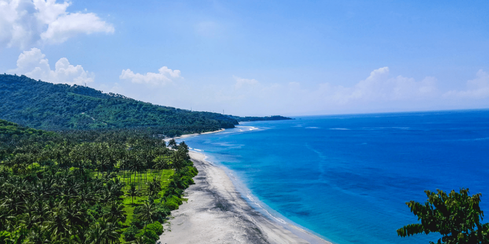 indinesia-lombok-island-sea-turtle-conservation-43