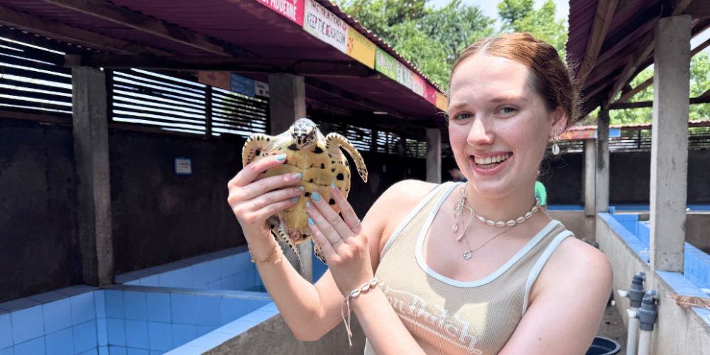 indinesia-lombok-island-sea-turtle-conservation-8