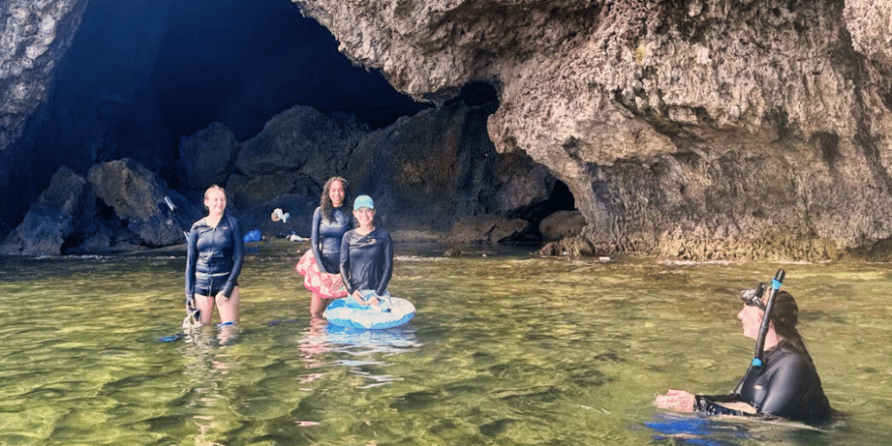 japan-sea-turtle-conservation-volunteering-in-okinawa-10