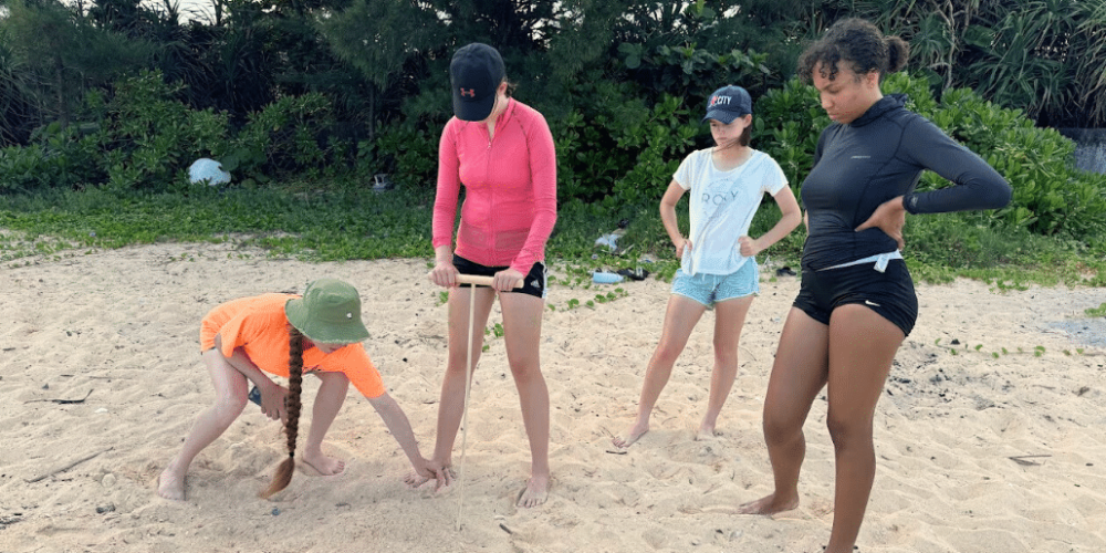 japan-sea-turtle-conservation-volunteering-in-okinawa-11