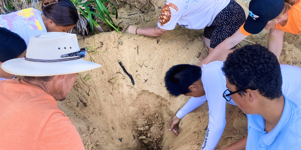 japan-sea-turtle-conservation-volunteering-in-okinawa-14