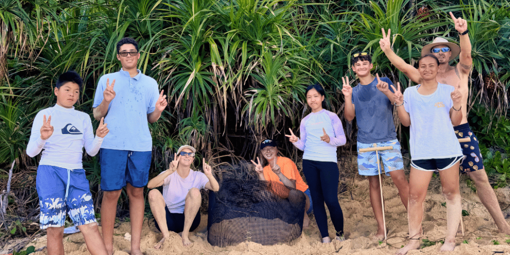 japan-sea-turtle-conservation-volunteering-in-okinawa-19