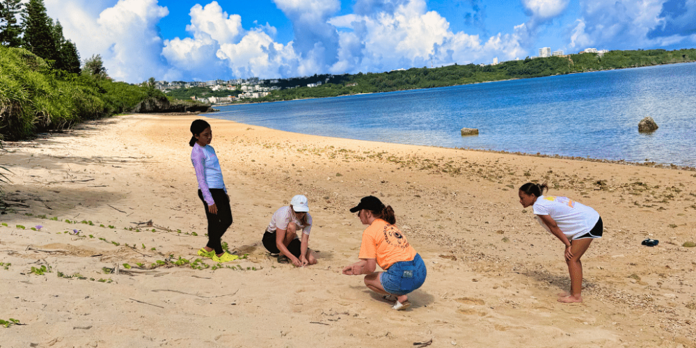 japan-sea-turtle-conservation-volunteering-in-okinawa-20