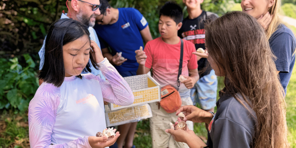 japan-sea-turtle-conservation-volunteering-in-okinawa-21
