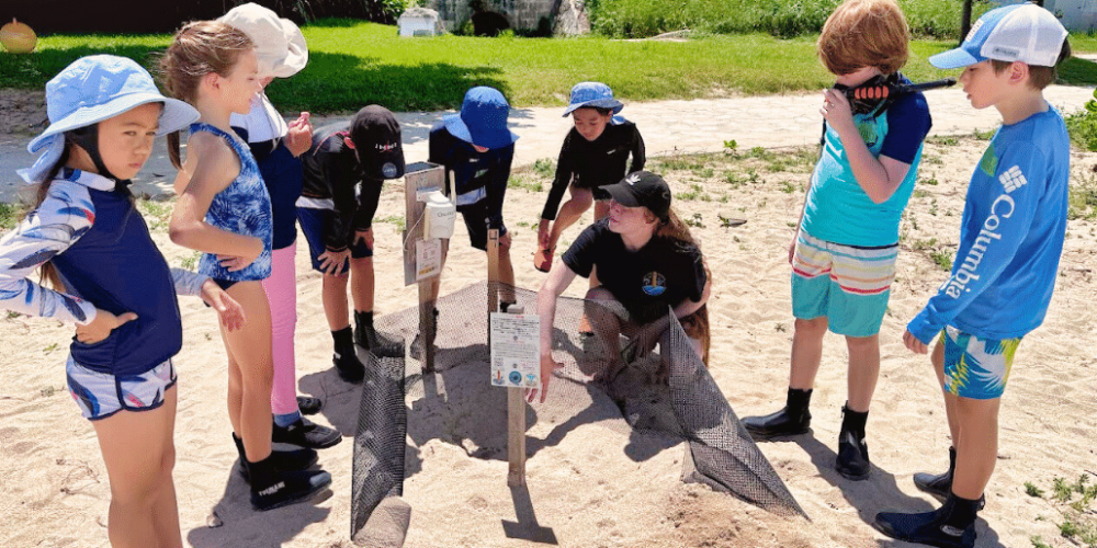 japan-sea-turtle-conservation-volunteering-in-okinawa-22