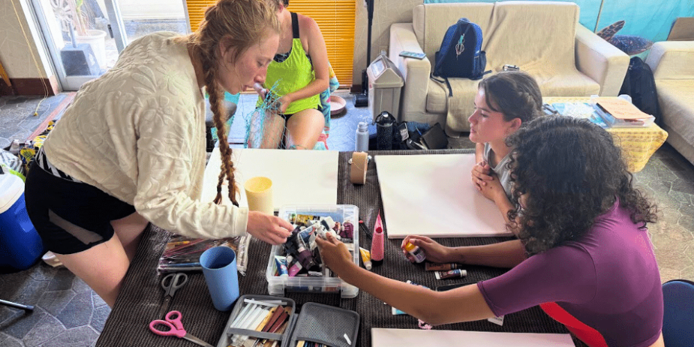 japan-sea-turtle-conservation-volunteering-in-okinawa-23