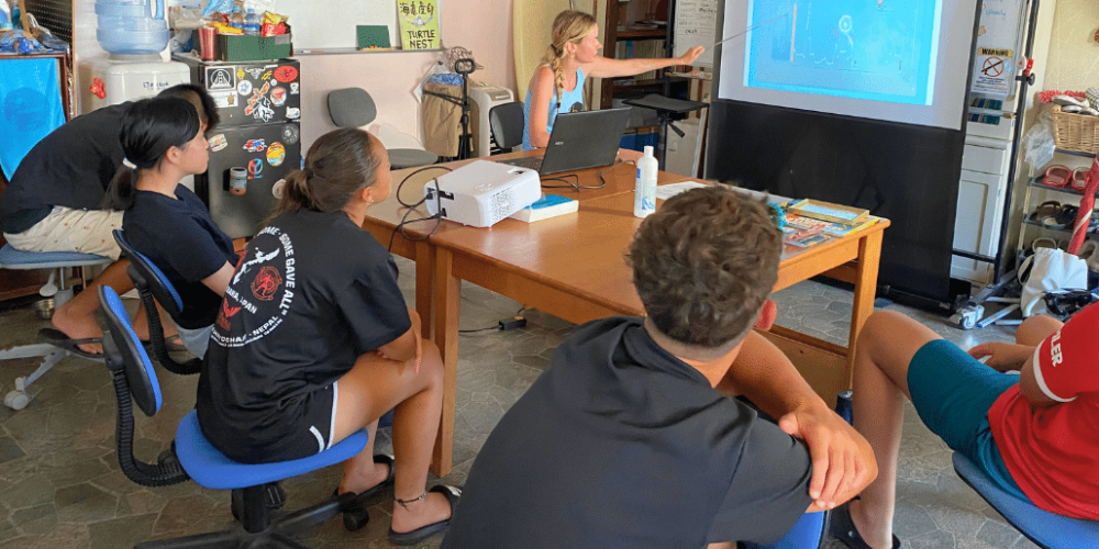 japan-sea-turtle-conservation-volunteering-in-okinawa-25