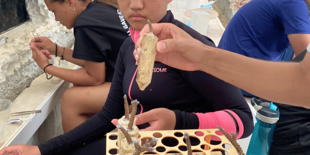 japan-sea-turtle-conservation-volunteering-in-okinawa-26