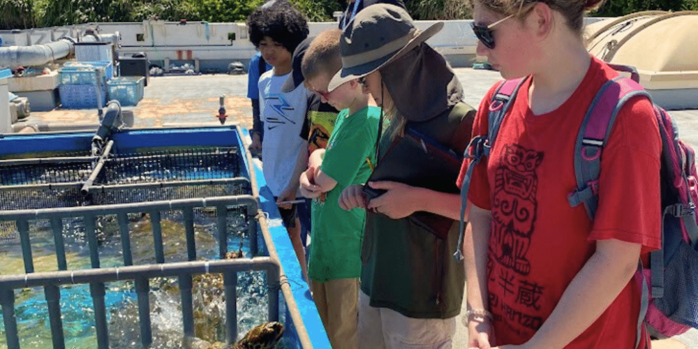 japan-sea-turtle-conservation-volunteering-in-okinawa-29