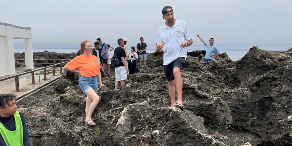 japan-sea-turtle-conservation-volunteering-in-okinawa-3