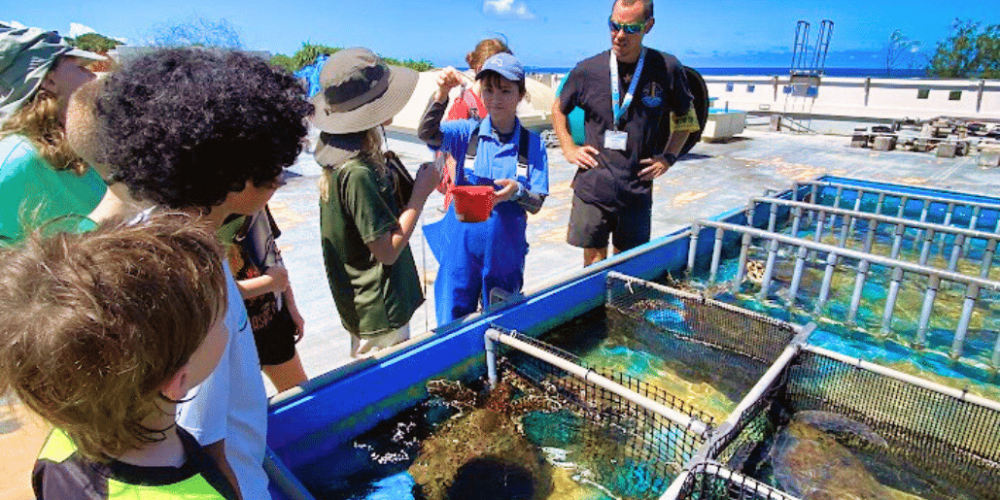 japan-sea-turtle-conservation-volunteering-in-okinawa-31