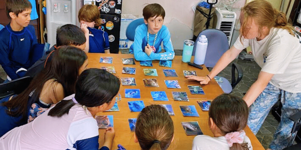 japan-sea-turtle-conservation-volunteering-in-okinawa-33