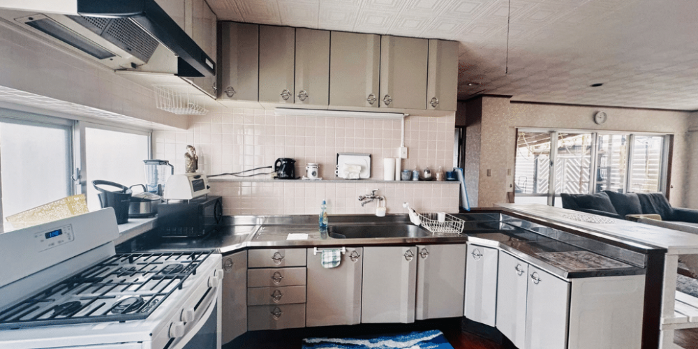 japan-sea-turtle-conservation-volunteering-in-okinawa-34