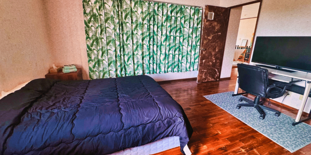 japan-sea-turtle-conservation-volunteering-in-okinawa-37