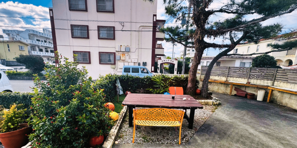 japan-sea-turtle-conservation-volunteering-in-okinawa-39