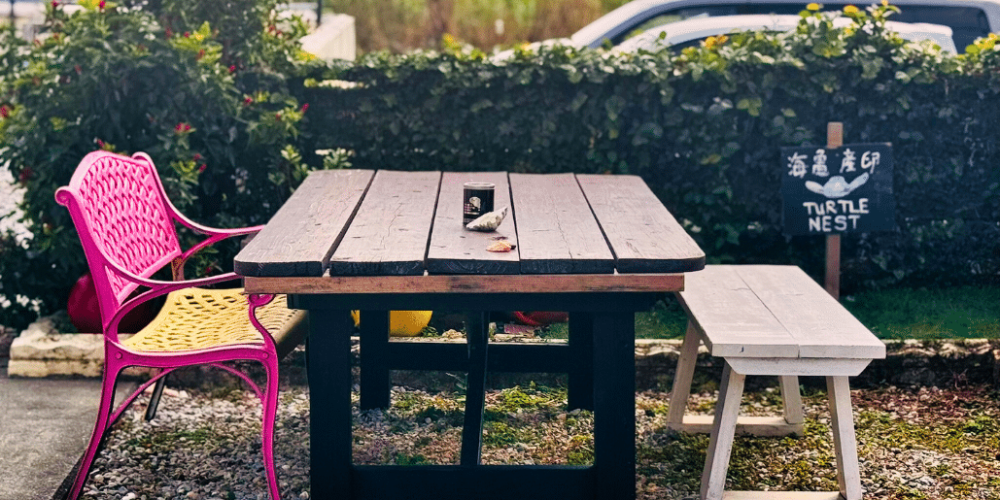 japan-sea-turtle-conservation-volunteering-in-okinawa-40