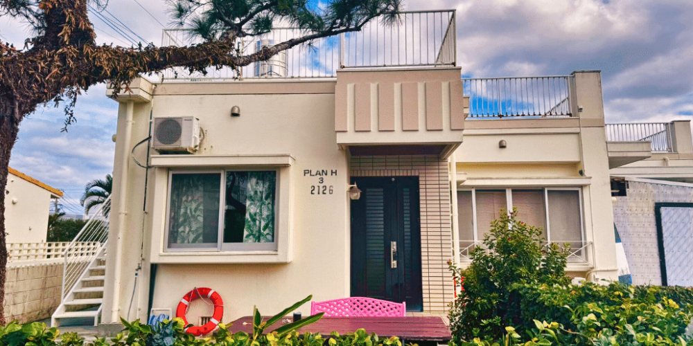 japan-sea-turtle-conservation-volunteering-in-okinawa-42