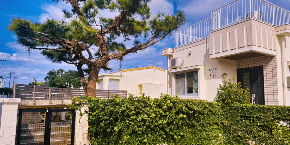 japan-sea-turtle-conservation-volunteering-in-okinawa-43