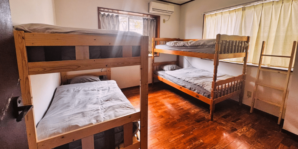 japan-sea-turtle-conservation-volunteering-in-okinawa-45