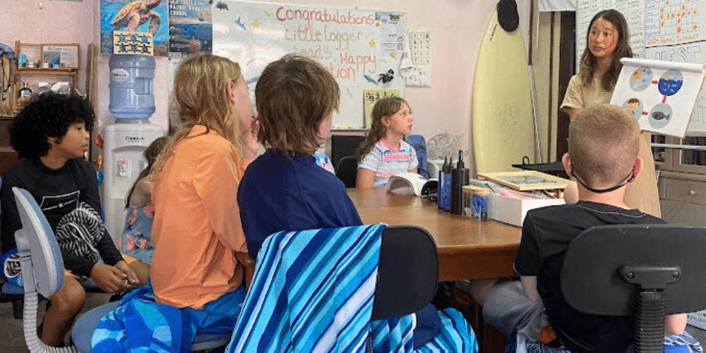 japan-sea-turtle-conservation-volunteering-in-okinawa-46