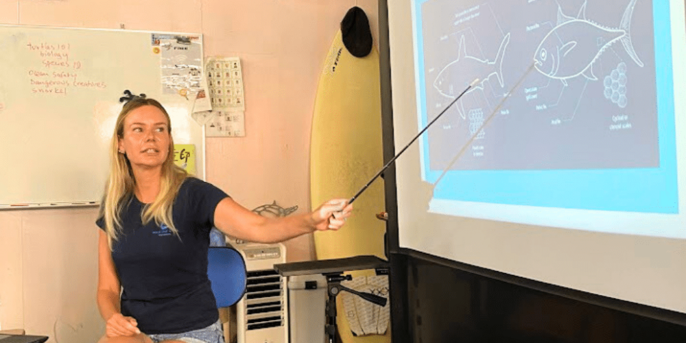 japan-sea-turtle-conservation-volunteering-in-okinawa-47